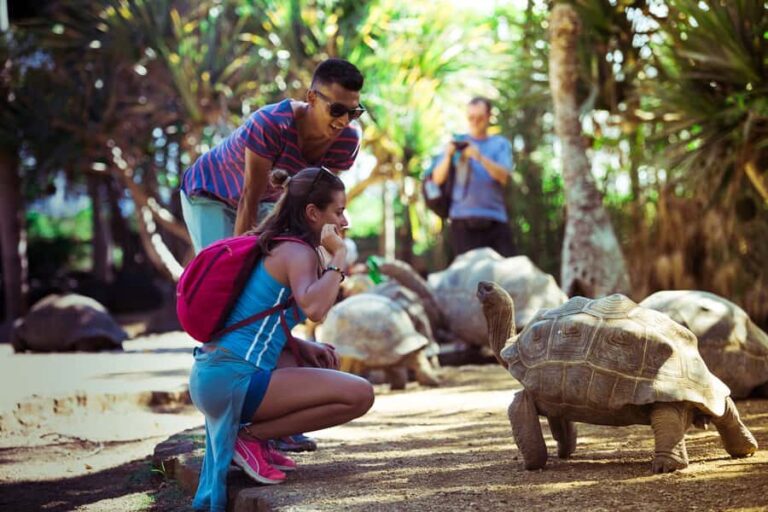 Mauritius: Full-Day Quad Bike Tour with Lunch - Big Foot Adventure and the start at Riviere des Anguilles