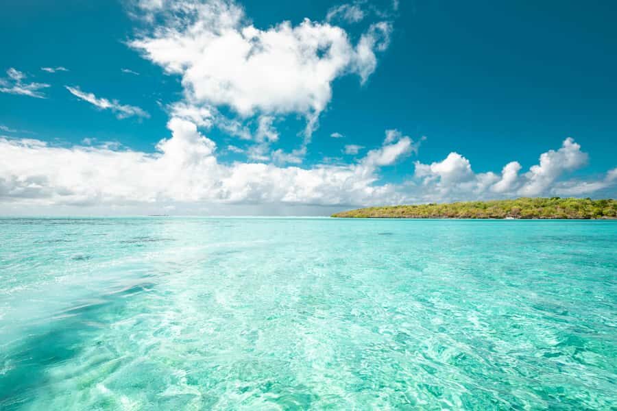 Mauritius: Full-Day Speedboat Tour to Ile aux Cerfs & BBQ - The Reef Circuit: Lighthouse Island and the d’Alblair 1902 Shipwreck