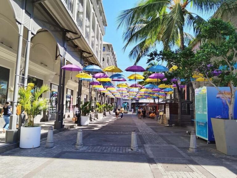 Mauritius: Full Day Tour of the North with Hotel Transfer - Pamplemousses Botanical Garden: 650 Plants, Spices, and Why You’ll Want a Guide