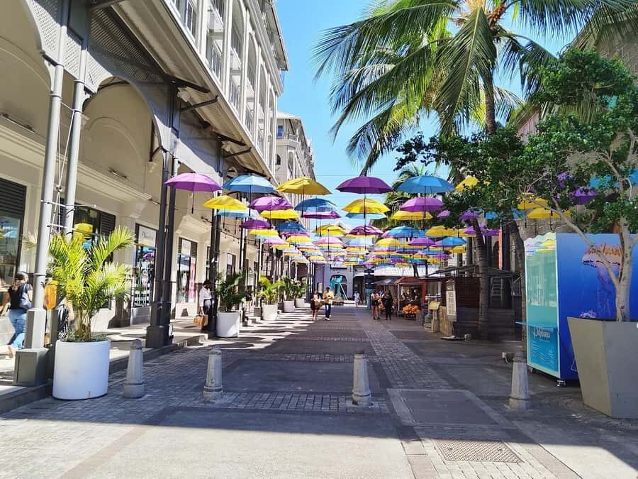 Mauritius: Full Day Tour of the North with Hotel Transfer - Pamplemousses Botanical Garden: 650 Plants, Spices, and Why You’ll Want a Guide