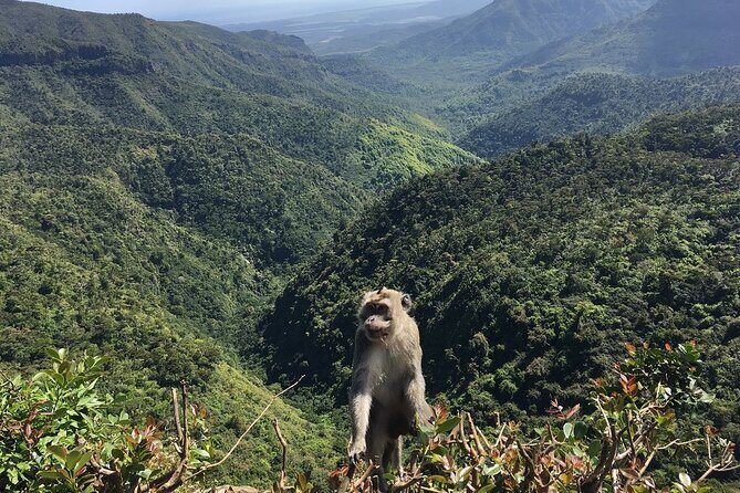 Mauritius full day tour : Private south west with lunch - Chamarel Falls and the gorges: nature plus variety
