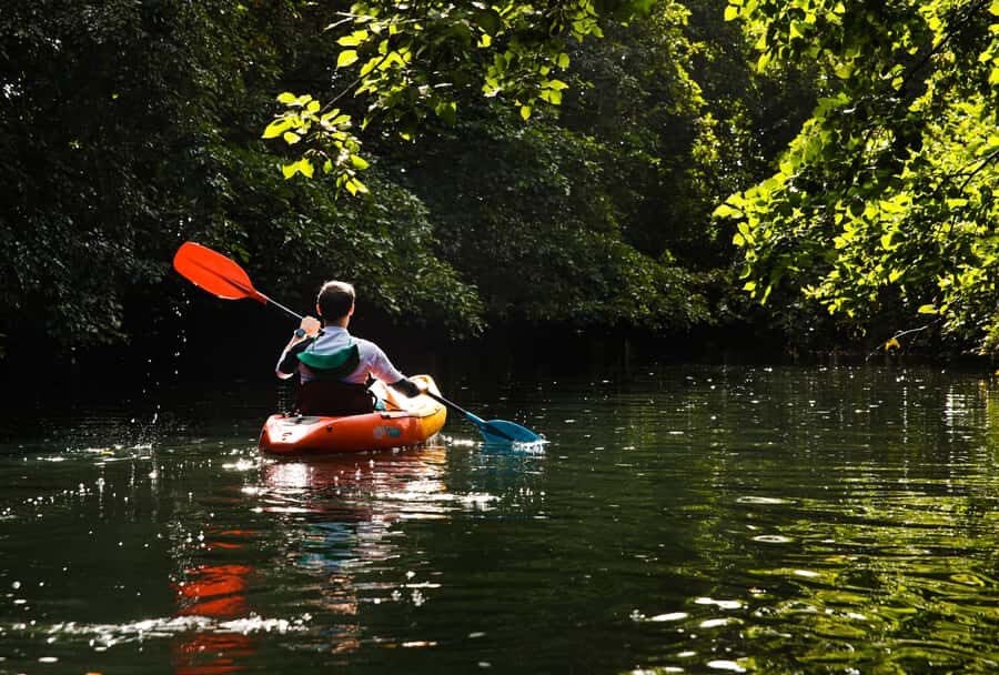 Mauritius: Guided Kayak Tour on Tamarin River - Kayaking Basics, Comfort Tips, and the Photo-First Approach
