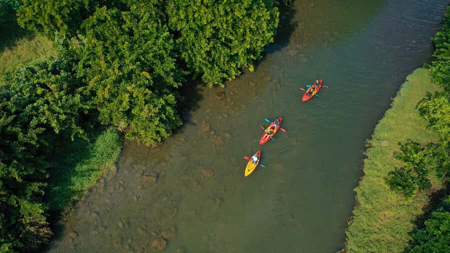Mauritius: Guided Kayak Tour on Tamarin River - Tamarin History Stories and Local Guide Insights