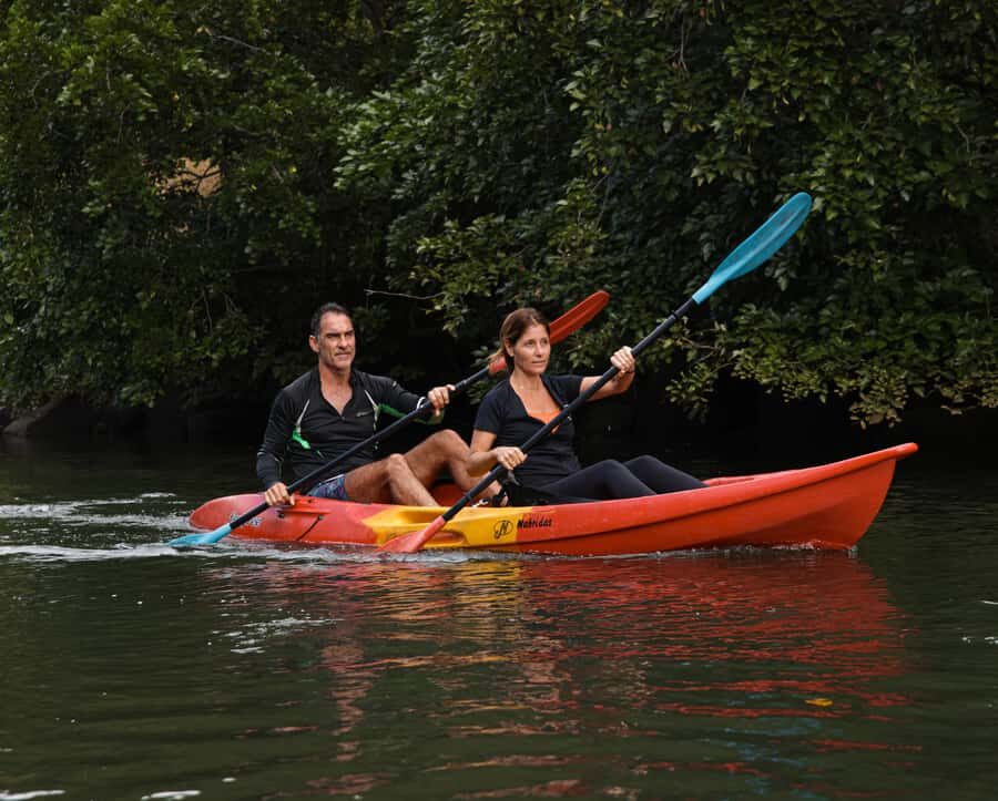 Mauritius: Guided Kayak Tour on Tamarin River - Upstream Route Through Two River Arms and Mountain Views