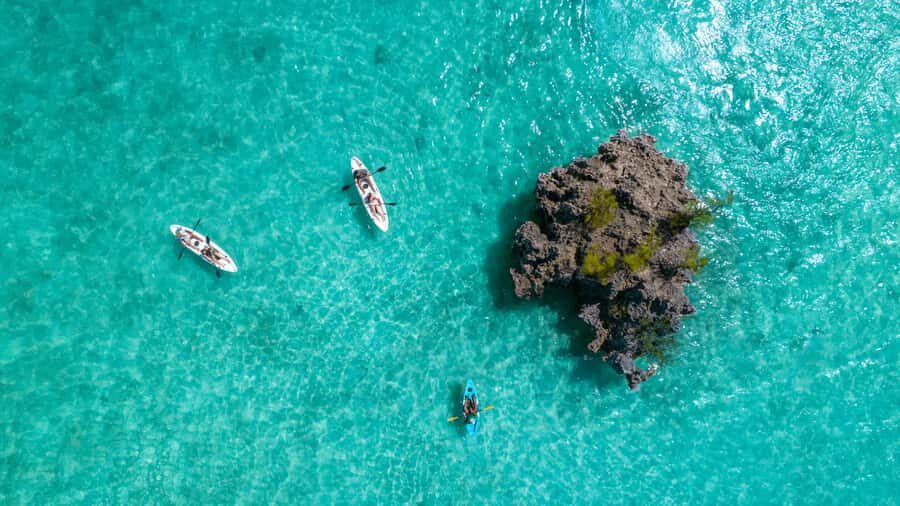 Mauritius: Guided Kayak tour to Benitiers Island - The 2-hour kayak to Île aux Bénitiers: scenery plus structure