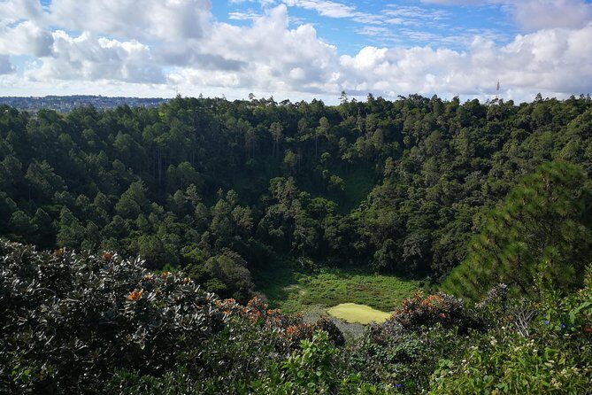 Mauritius Guided South tour (Private) - Trou aux Cerfs: an extinct crater you can actually stand at