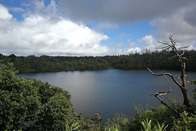 Mauritius Guided Southwest tour (Private) - Trou aux Cerfs: The Dormant Crater That Feels Like a Forest Stop