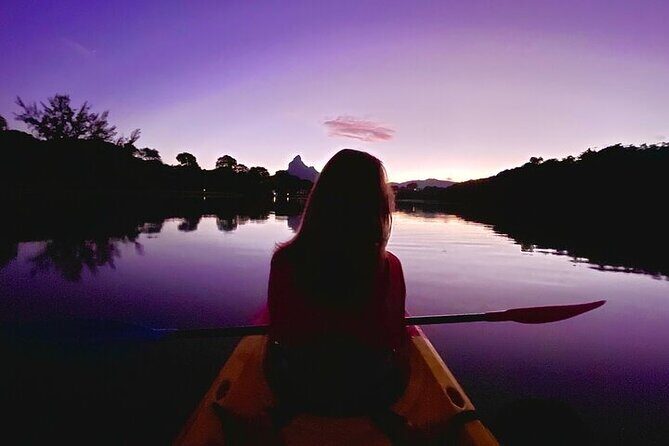 Mauritius: Guided Sunrise Kayak Tour on the Tamarin River - Key highlights you will care about