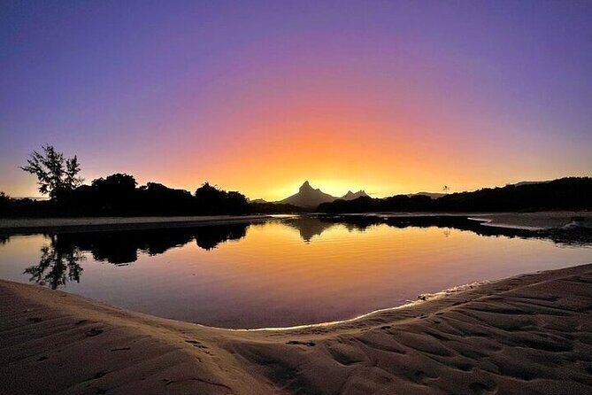 Mauritius: Guided Sunrise Kayak Tour on the Tamarin River - Wildlife on quiet water: what you might see (and how to look for it)