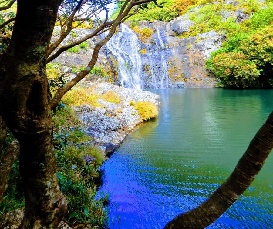 Mauritius: Guided Tamarind Falls Hike with Hotel Transfers - Quick hits before you lace up