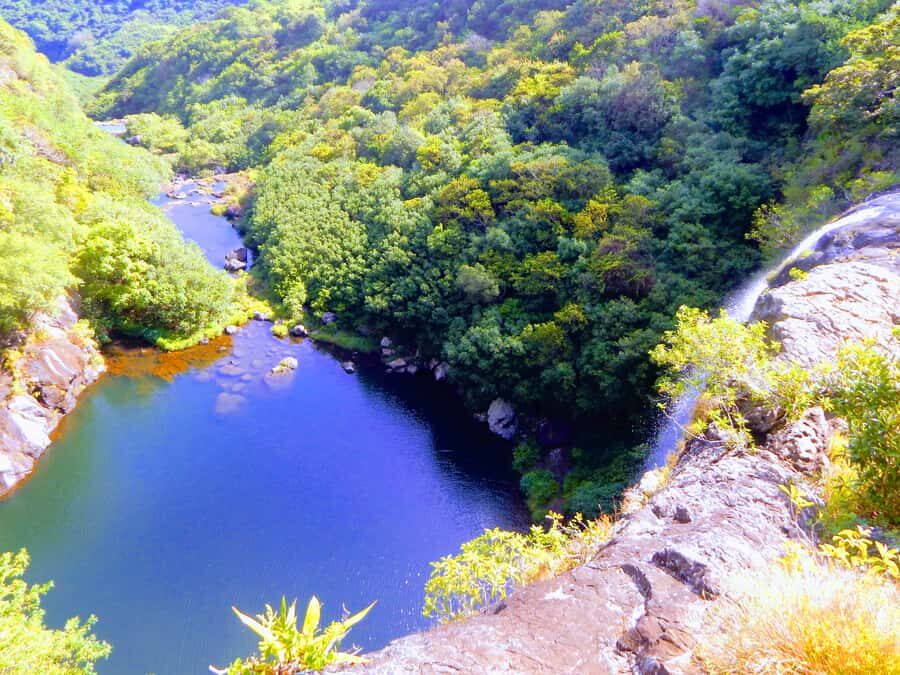Mauritius: Guided Tamarind Falls Hike with Hotel Transfers - The hike itself: what the trail feels like on the way to the first cascades