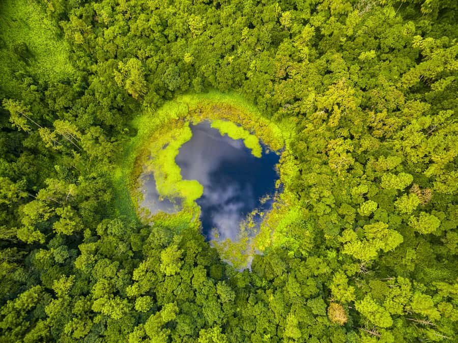 Mauritius: Guided Trip to the Southwest with Safari Tour - Private southwest loop: what $125 buys you in real time