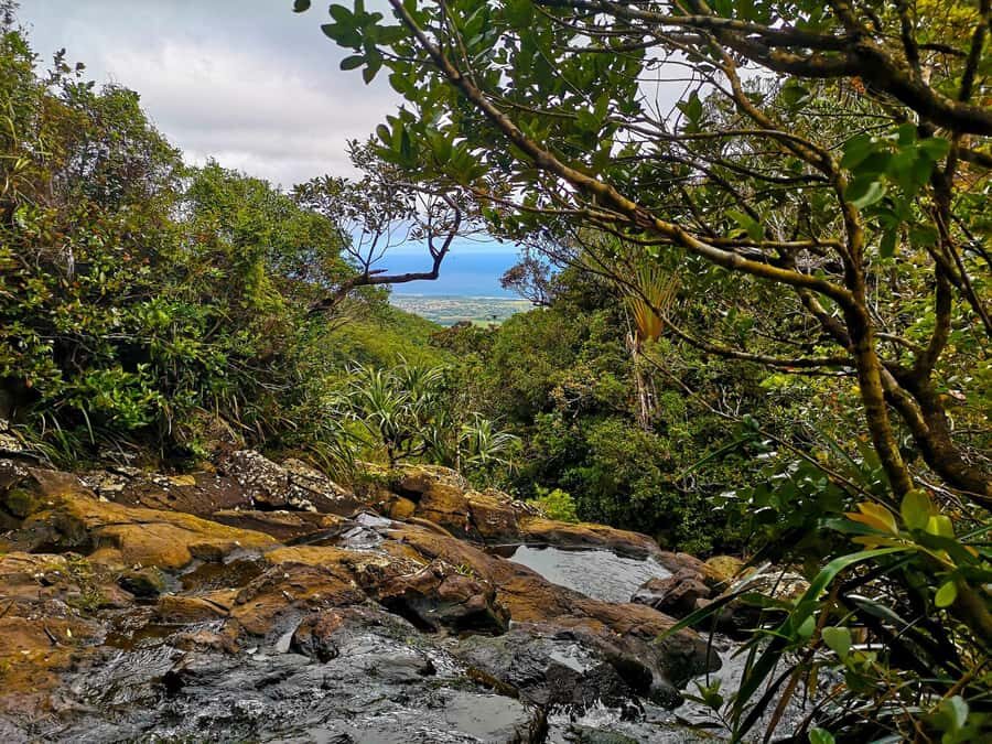 Mauritius: Guided Trip to the Southwest with Safari Tour - Chamarel Viewpoint and Maconde: stretching your day into the southwest coast