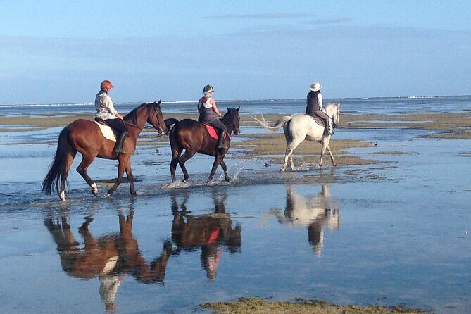Mauritius Horse Riding at Riambel - Day Ride vs Sunset Ride: What You Should Expect About Timing