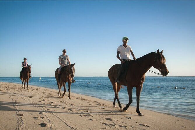 Mauritius Horse Riding at Riambel - Private Tour Value: Why This Works Better Than Big-Group Rides
