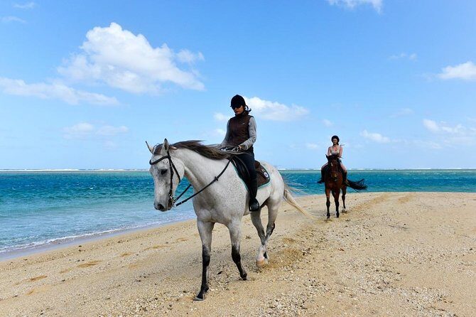Mauritius Horse Riding at Riambel - Your 1-Hour Session: Briefing, Helmets, and the Pace You Control