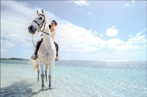 Mauritius: Horseback riding on the beach - The sanctuary stop: Why it changes the vibe
