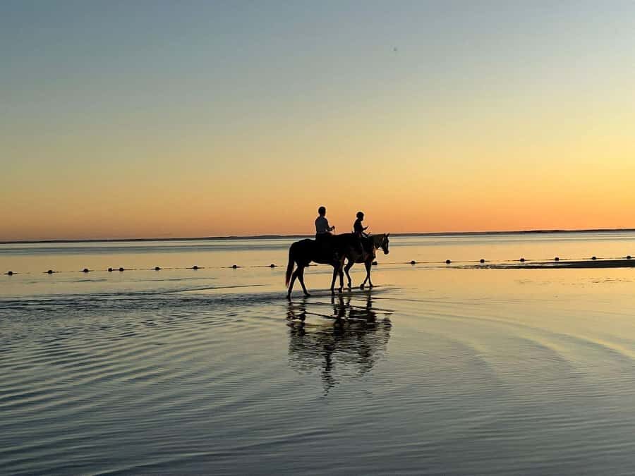 Mauritius: Horseback riding on the beach - How the 1-hour route works along the waterline
