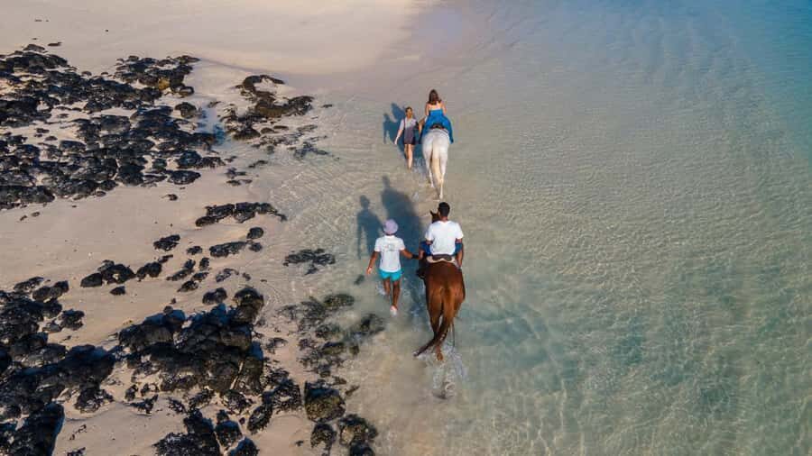 Mauritius: Horseback riding on the beach - Price and value: Is $110 for one hour worth it?