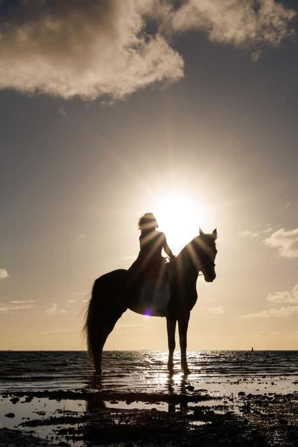 Mauritius: Horseback riding on the beach - Who should book this horseback ride in Mauritius?