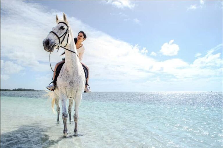 Mauritius: Horseback riding on the beach - The sanctuary stop: Why it changes the vibe