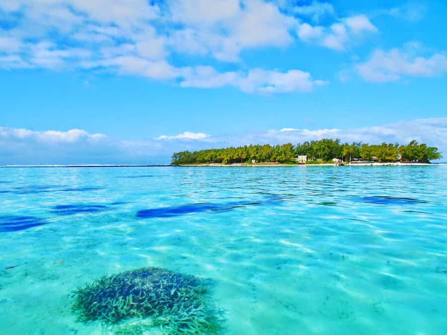 Mauritius: Ile aux Aigrettes Nature Reserve with Boat Ride - Blue Bay Beach: The Best Kind of Short Break