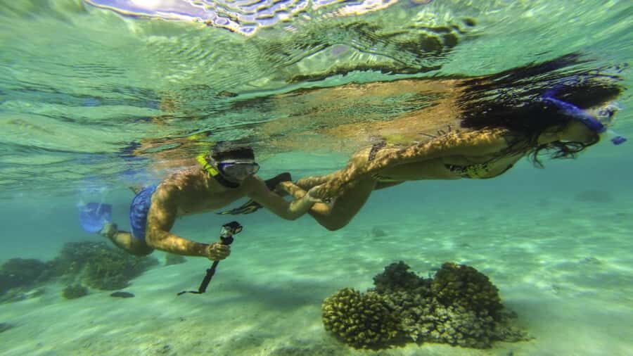 Mauritius: Ile aux Cerf Catamaran w/Waterfall Visit & Lunch - Key things to know before you go