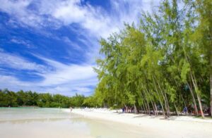 Mauritius: Ile aux Cerfs Boat Tour with BBQ Lunch and Drinks - Cascade Diamamouve: where the photos (and monkeys) happen