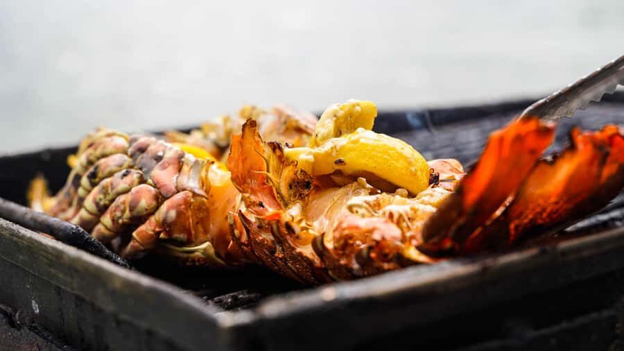 Mauritius: Ile aux Cerfs Boat Tour with BBQ Lunch and Drinks - Price and value: what $56 actually buys you on this island day