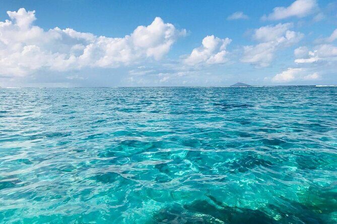 Mauritius: Ile Aux Cerfs Catamaran Tour with Lunch and Drinks - Key highlights you should care about