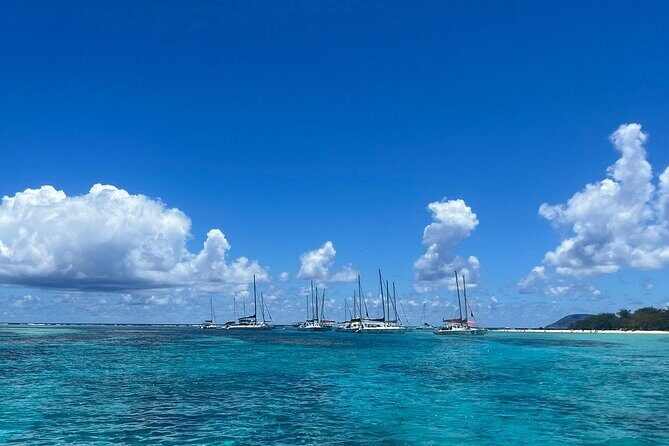 Mauritius: Ile Aux Cerfs Catamaran Tour with Lunch and Drinks - Trou d’Eau Douce return and time to unwind before you head out