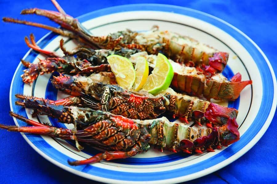 Mauritius: Ile Aux Cerfs Catamaran Trip w/ Lunch & Transfer - Key Highlights You’ll Actually Care About