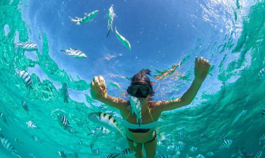 Mauritius: Ile Aux Cerfs Catamaran Trip w/ Lunch & Transfer - Snorkeling in the Lagoon: Clear Water, Short Stop, Big Payoff
