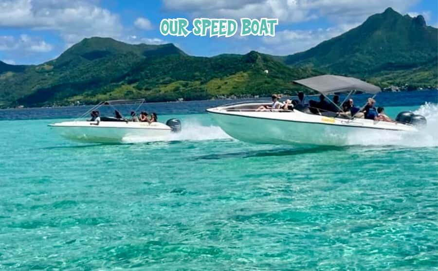 Mauritius: Ile aux Cerfs Speedboat Tour with Lunch & Drinks - GRSE Waterfalls: close enough to feel the roar