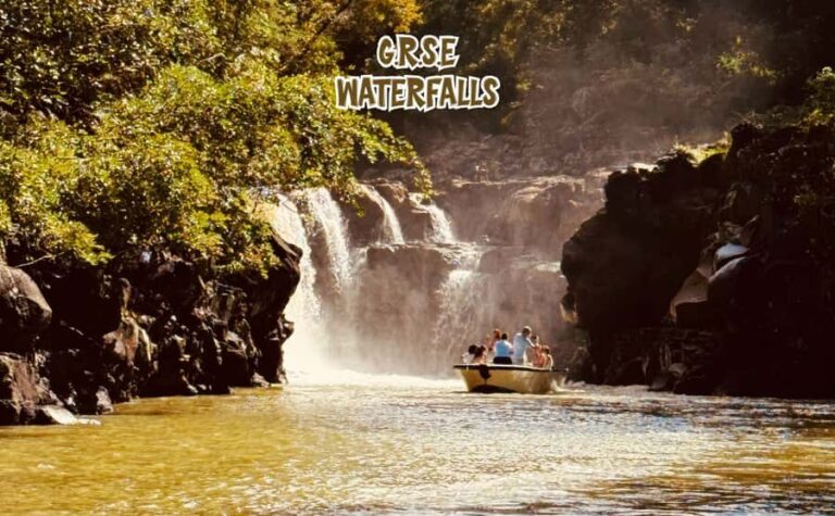 Mauritius: Ile aux Cerfs Speedboat Tour with Lunch & Drinks - Mangrove cruise: the coast’s natural protection system