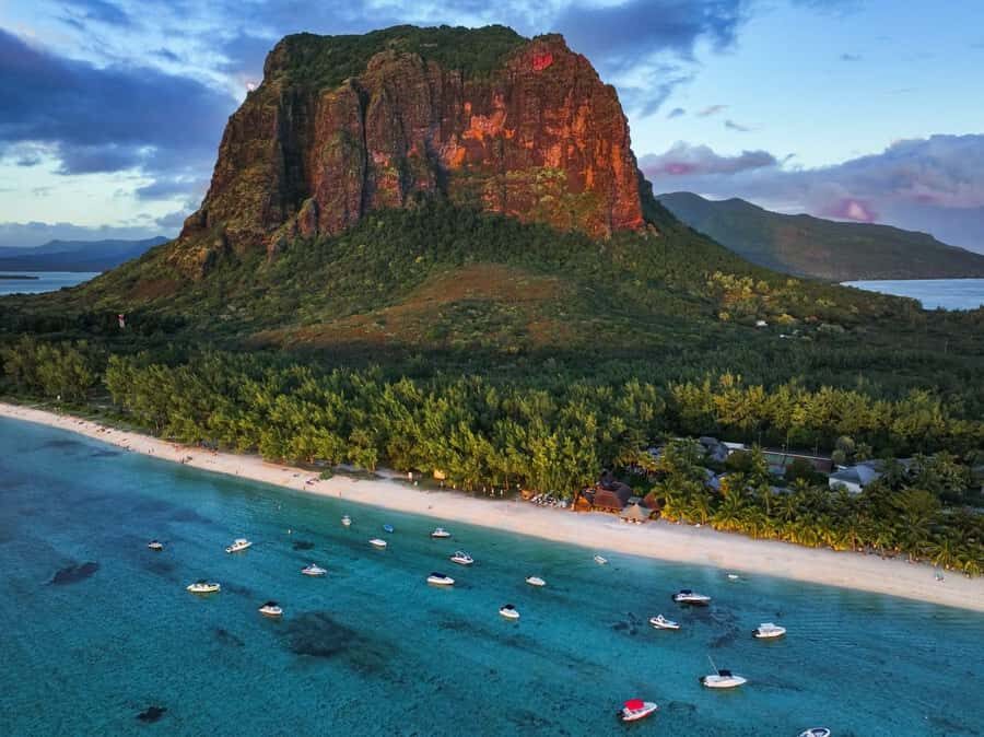 Mauritius: Le Morne Brabant Hike with Historical Immersion - Nature Notes: Endemic Plants and Bird Life on the Trail