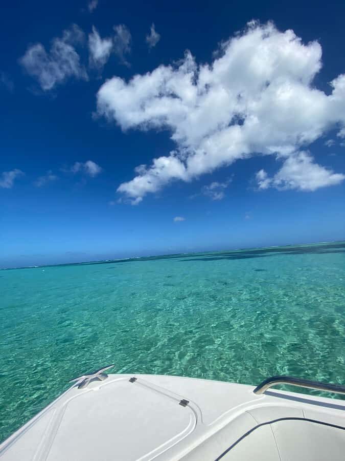 Mauritius Le Morne: Eco-Friendly Dolphin Watching Tour - 2 hours that actually feel focused
