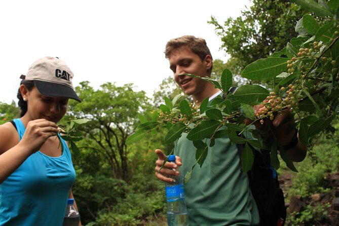 Mauritius Le Morne Hiking including transfer - Summit views: lagoons, coastline, and neighboring islands