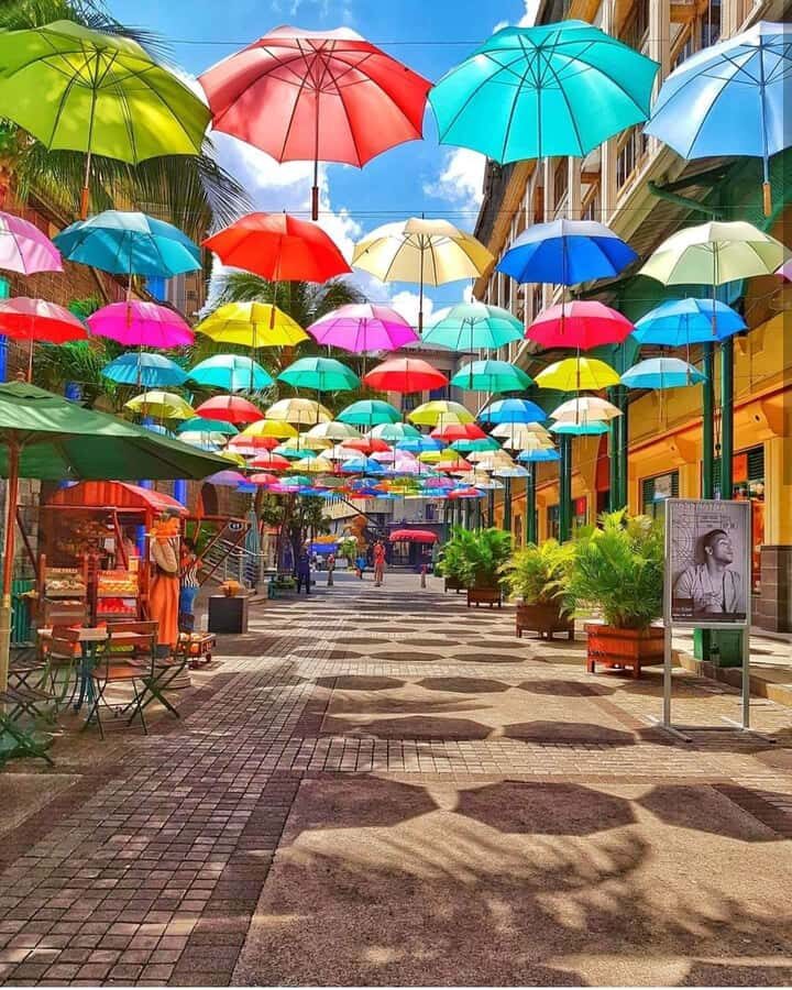 Mauritius North: Private Paradise Tour with Gardens, Markets - How This 7-Hour Private North Mauritius Tour Actually Feels