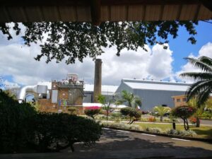 Mauritius North: Private Paradise Tour with Gardens, Markets - Pamplemousses Botanical Garden: Over 650 Species and Giant Water Lilies