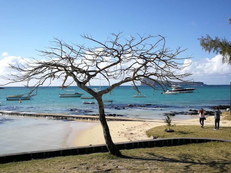 Mauritius North: Private Paradise Tour with Gardens, Markets - Is $129 Per Group Good Value for North Mauritius?