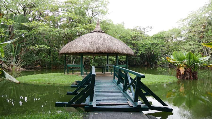 Mauritius: Northern Tour w/Port Louis Market, Temple & Beach - Mont Choisy, Trou aux Biches, and Pereybere: beach time plus snorkeling odds