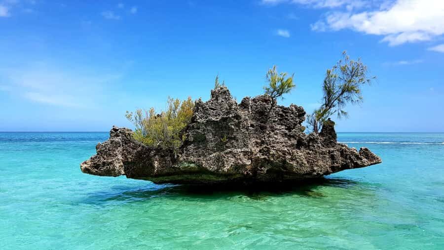 Mauritius: Ocean Swim with Dolphins - Key things to know before you go