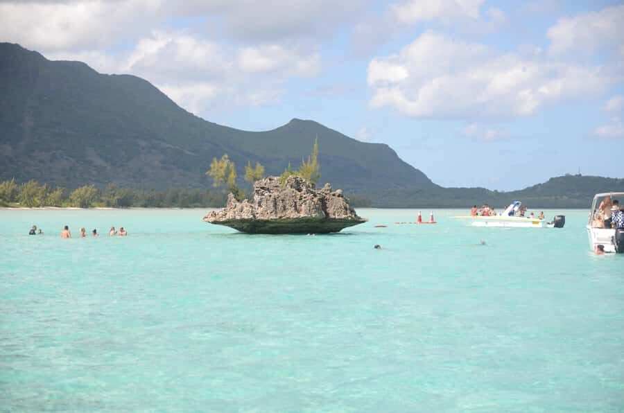 Mauritius: Ocean Swim with Dolphins - Snorkeling the Aquarium reef barrier for fish-friendly water