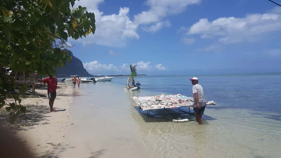 Mauritius: Ocean Swim with Dolphins - What to bring, what to skip, and how to handle the day
