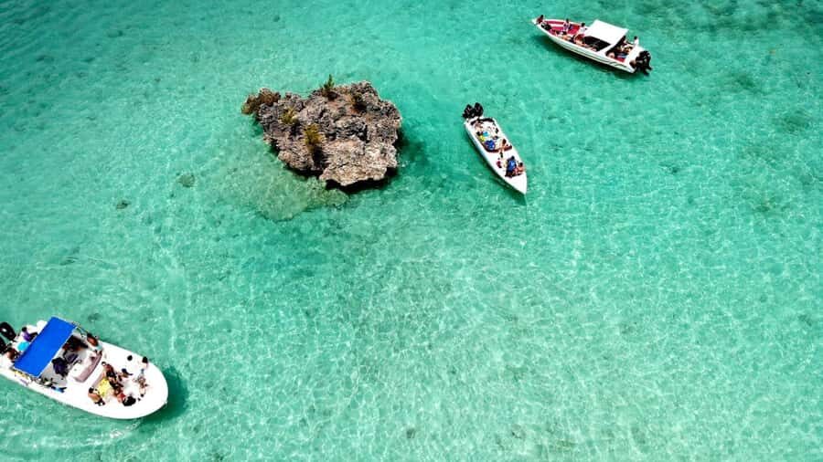 Mauritius: Ocean Swim with Dolphins - Who this dolphin-and-reef day fits best