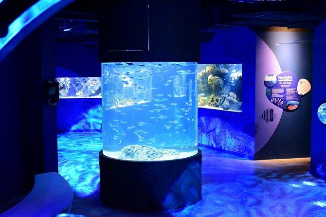 Mauritius Odysseo Oceanarium in Port Louis - Odysseo Oceanarium on the Port Louis waterfront: plan it like a city stop