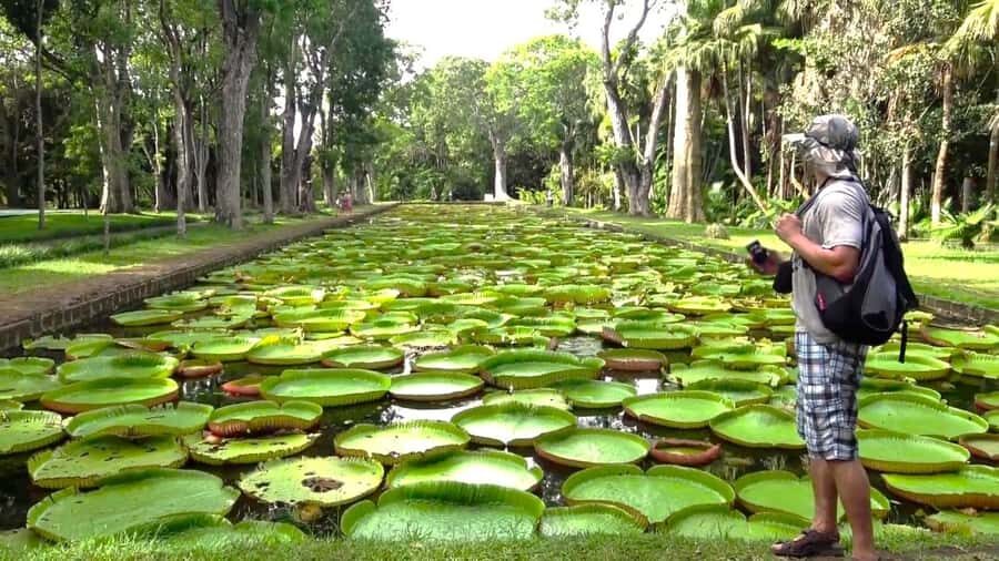 Mauritius: Port Louis and Northern Highlights Full-Day Trip - How This 8-Hour North Loop Helps You Plan Mauritius