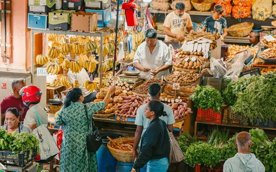 Mauritius: Port Louis and Northern Highlights Full-Day Trip - Central Market in Port Louis: Where the Day Turns Local
