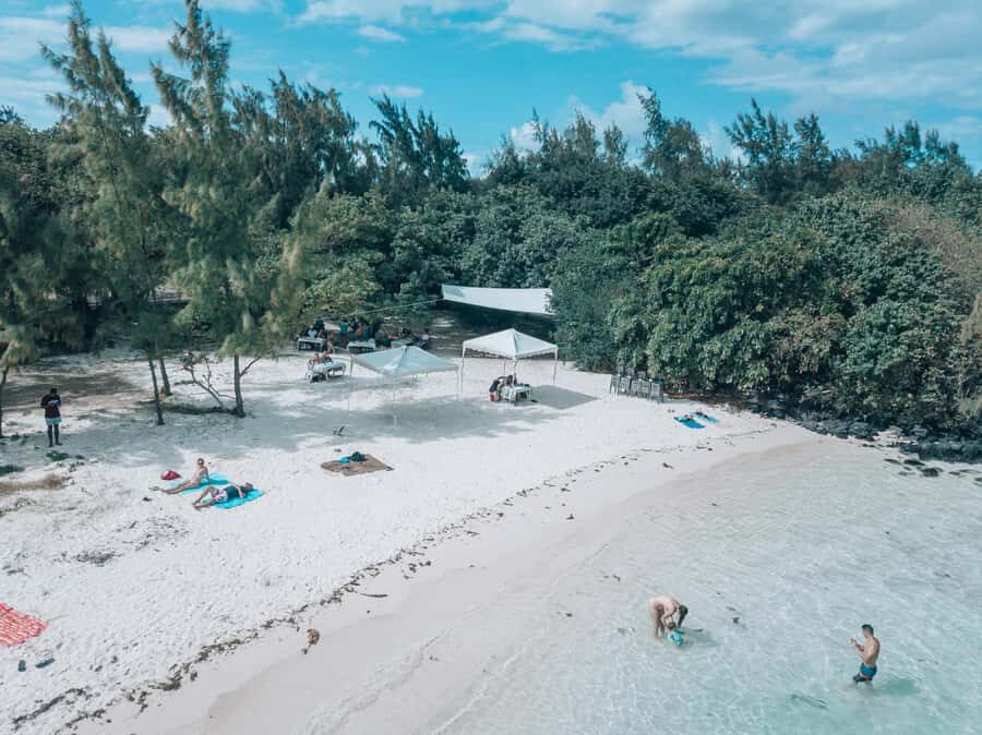 Mauritius: Private 5 Island Tour with Ile aux Cerfs - Ile aux Aigrettes: swimming with a conservation feel